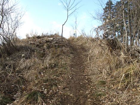 20161229hike (81)
